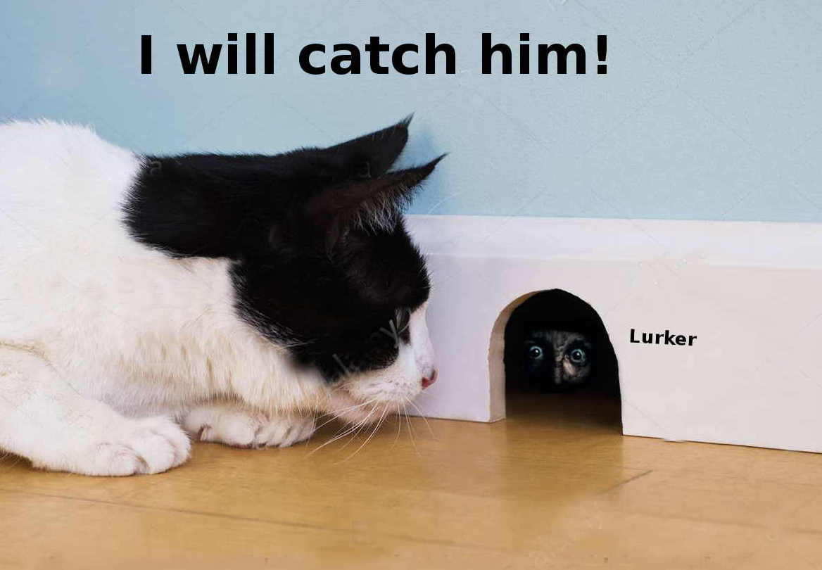 lurker